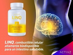 LINQ (frasco con 60 cápsulas) - comprar en línea