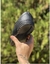 Lacoste lerod (preto) - loja online