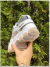 PRADA CLOUDBUST "BRANCO/NUDE" na internet