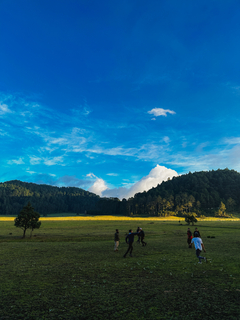 Imagen de LLANO DE LAS FLORES