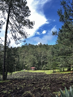 CAÑON DEL COYOTE & PEÑA COLORADA