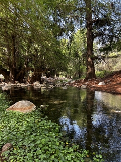 Imagen de HIKE CAÑON APOALA & CASCADA