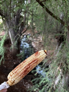 HIKE CAÑON APOALA & CASCADA
