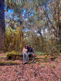 EXPERIENCIA MIXE & HIKE ZEMPOALTEPETL