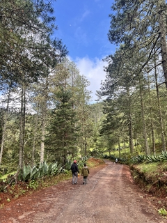 Imagen de CAÑON DEL COYOTE & PEÑA COLORADA