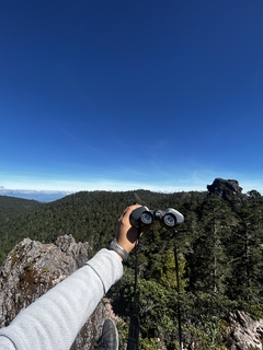Imagen de HIKE EN MIRADOR PRIEDRA LARGA