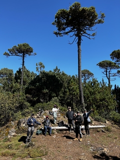 EXPERIENCIA MIXE & HIKE ZEMPOALTEPETL - tienda en línea
