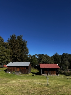 Imagen de HIKE EN MIRADOR PRIEDRA LARGA