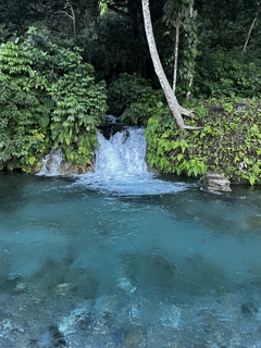 FINCA EL MIRADOR - comprar en línea