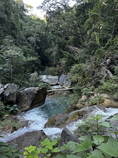 FINCA EL MIRADOR en internet