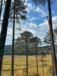 LLANO DE LAS FLORES