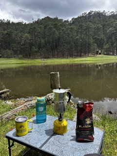 TAZA TÉRMICA - tienda en línea