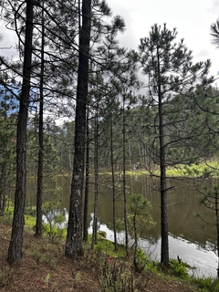 Imagen de LAGO NEVERIA & KAYAK