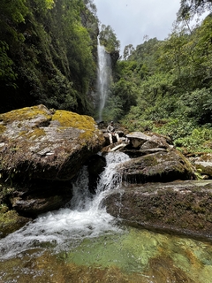 LLANO DE LAS FLORES - comprar en línea