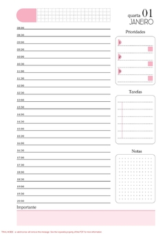 Agenda Profissional Executiva Feminina 2025 na internet