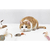 Brinquedo para Gatos Varinha Cat Fishing com Guizo - comprar online