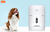 distribuidor automático de comida para gatos e cães via APP - comprar online