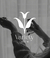 Banner de Varietystore