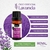Óleo Essencial de Lavanda 10 ml - comprar online