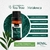 Óleo Essencial de Tea Tree 10ml - comprar online