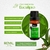 Óleo Essencial de Eucalipto 10ml - comprar online