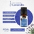 Óleo Essencial de Lavandin 10ml - comprar online