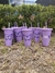 (Mayoreo) Vasos con popote - comprar en línea