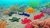 Kit Fundo do Mar Animais Articulados- 05 peças - comprar online