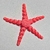 Estrela do Mar Articulada na internet