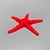 Estrela do Mar Articulada