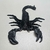 Imagem do Kit Aracnídeos e Aracnídeos Esqueletos- Aranha e Escorpião