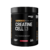 Creatine Cell Hoch Sport