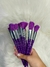 SET DE BROCHAS X10