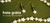 Banner rotativo 4