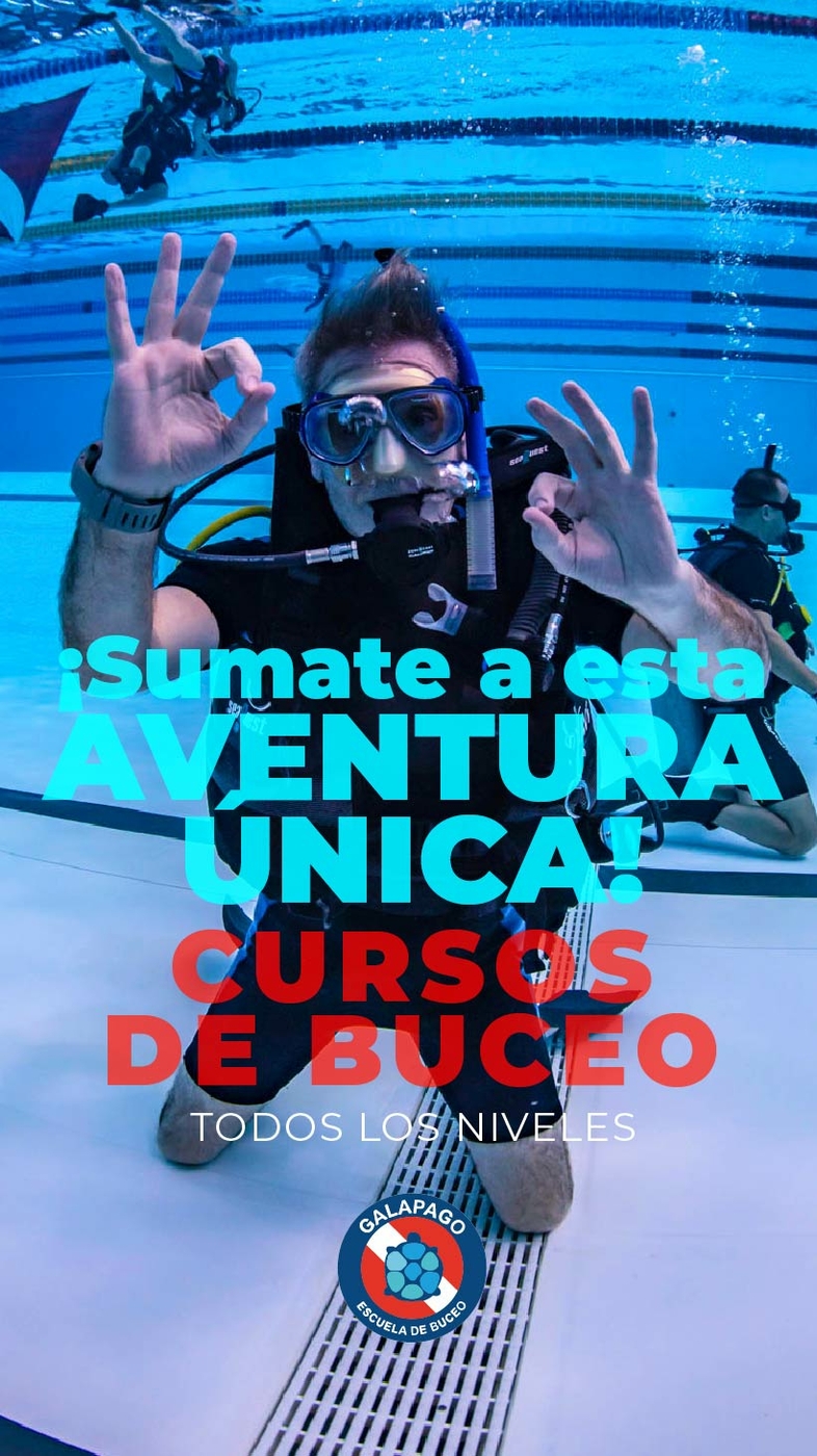 Carrusel 1