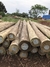Poste Tratado 14-17 x 700cm - comprar online