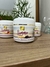 SUMMER GOLD - CHOCOLATE - comprar online