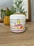SUMMER GOLD - CENOURA E URUCUM - Reprograme-se