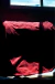 Camiseta Basic Vermelho Bordo - loja online