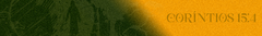 Banner da categoria Camiseta Oversize