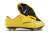 Nike Mercurial vapor X
