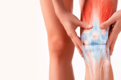 Banner de la categoría Huesos y Articulaciones