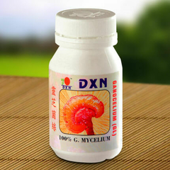 GL HONGO GANODERMA BEBE GANOCELIUM DXN