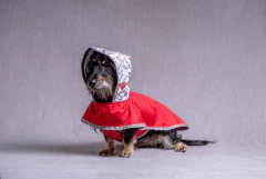 Imagen de Impermeable