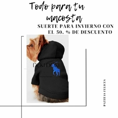 sudadera