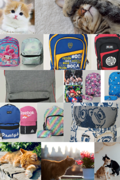 Banner de la categoría Mochilas