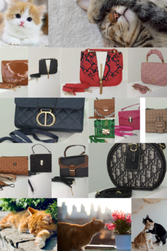 Banner de la categoría Carteras