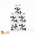 Set De 5 Dados Para Contadores - Positivo - Light - tienda online