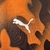 Imagem do CAMISA OLYMPIQUE MARSEILLE Third 23-24
