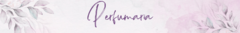 Banner da categoria Perfumaria